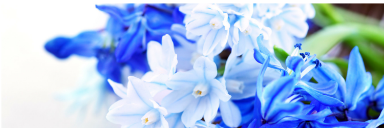 dotteson's profile banner image
