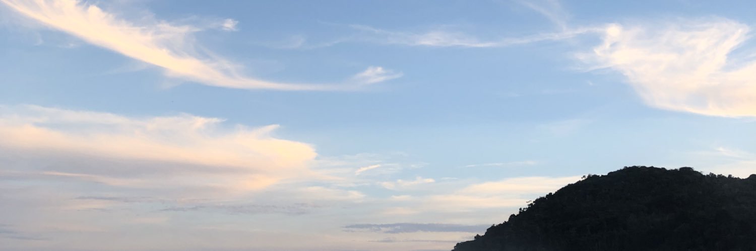 avafecila's profile banner image