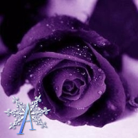 moontiger5735's profile banner image