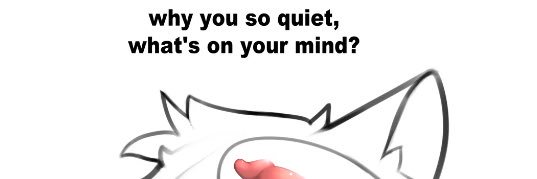 cedarAfterBrk's profile banner image