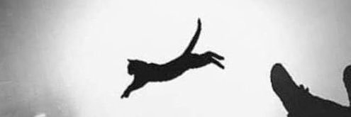 ninja_roger's profile banner image