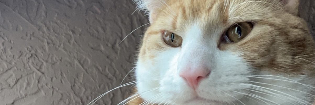 keithfbarbosa's profile banner image