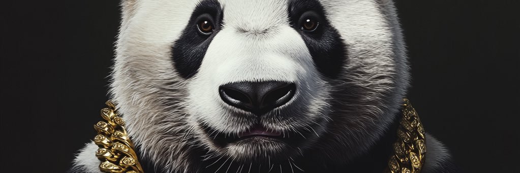 OCPOnChainPanda's profile banner image