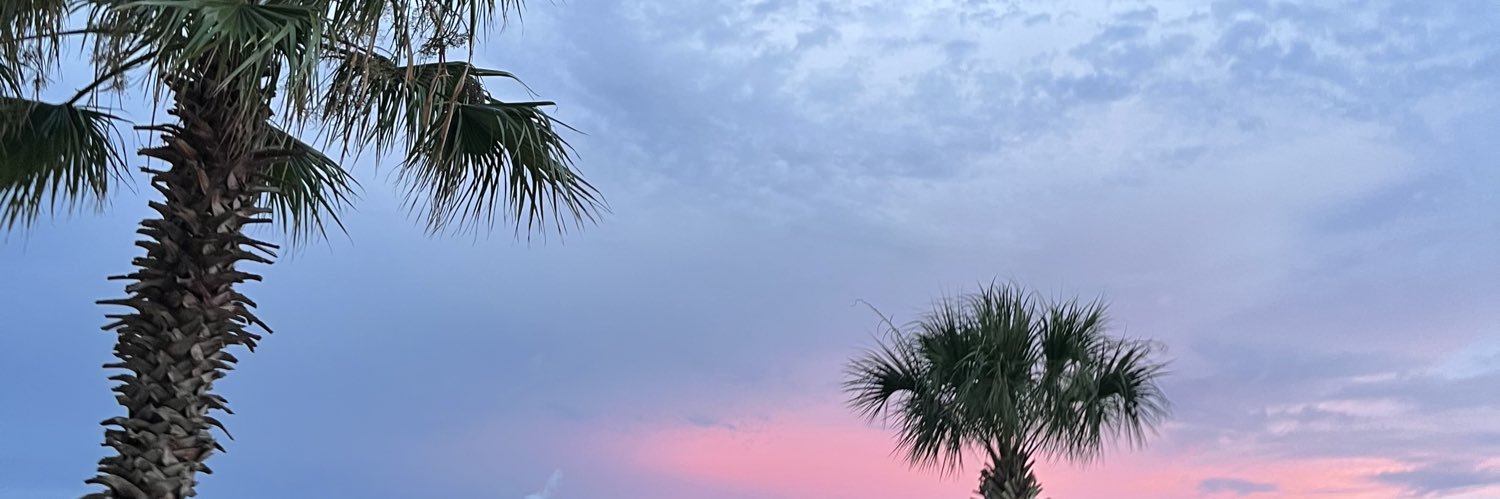 Amya237's profile banner image