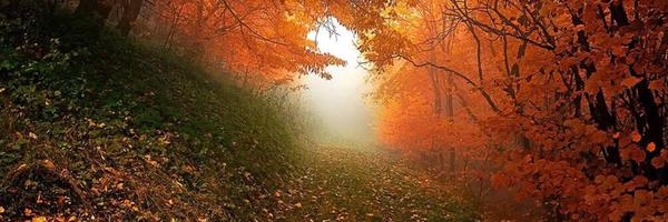 davmort Profile Banner