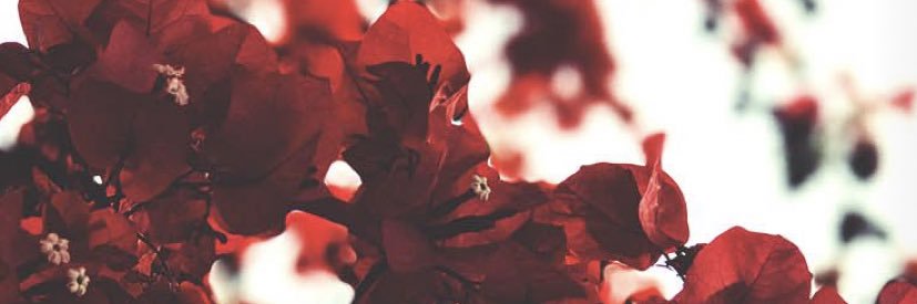 Nikki_Marie015's profile banner image