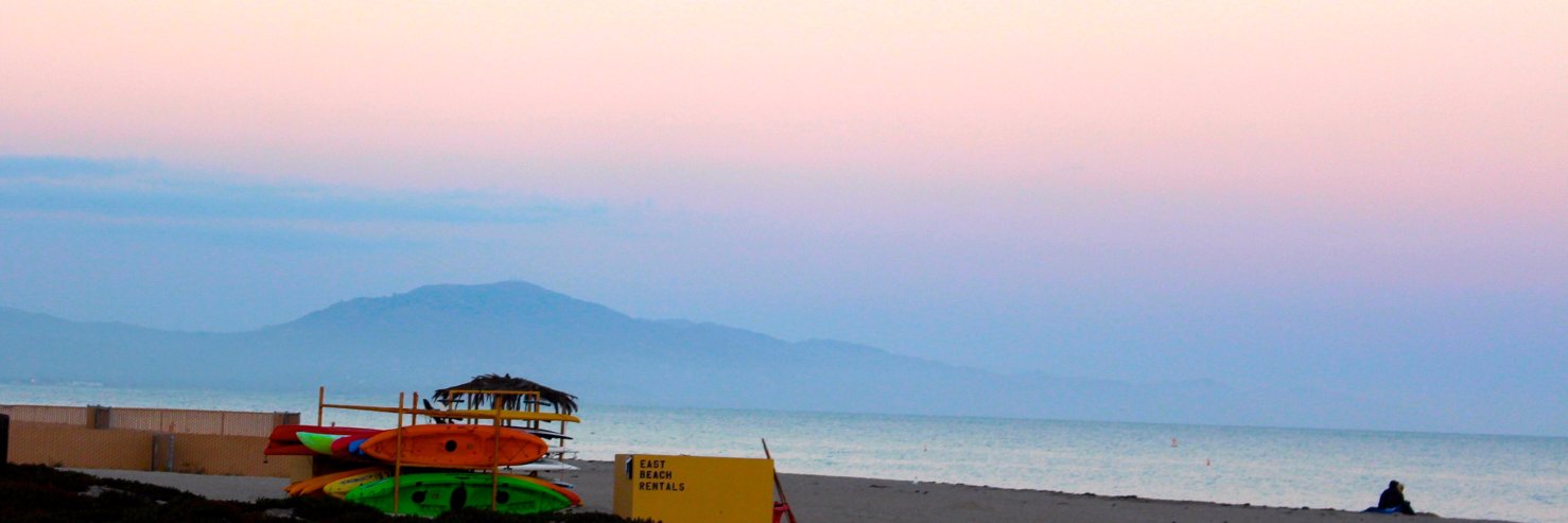 Megan Atkins-Baker (she/her) banner