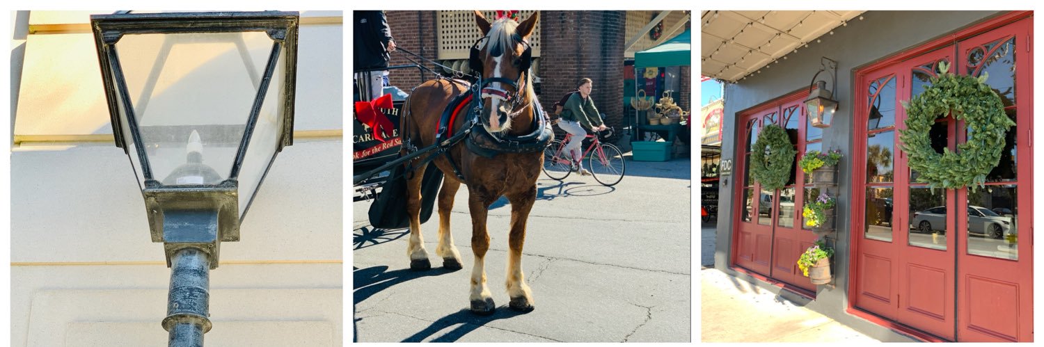 Professor Pissybich banner