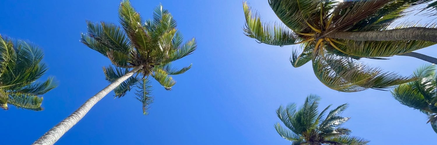 Maria_Fer07's profile banner image