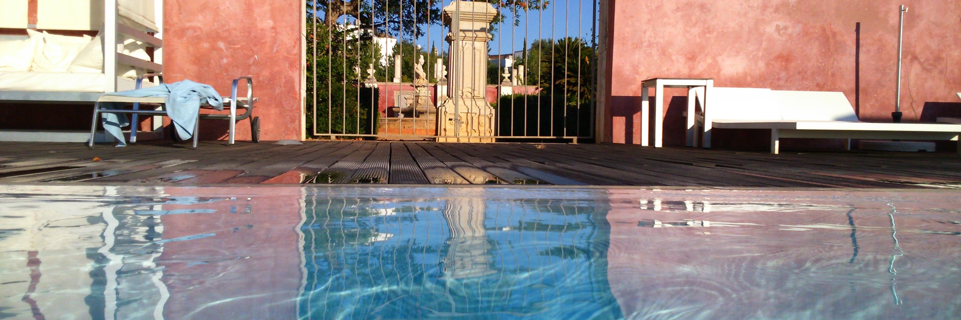 Rafael de Rojas banner