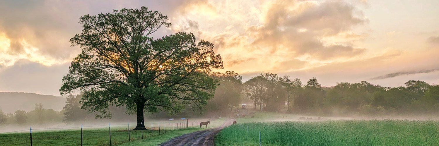 SooieetHeart ❤️‍🩹🐗 banner