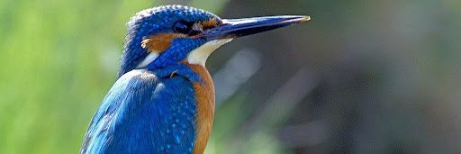 AOneFittness's profile banner image