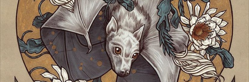Tal__lopez's profile banner image