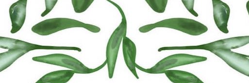 aspen_mitchell's profile banner image