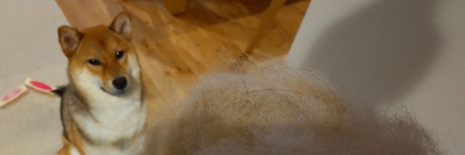 sutojimusyo's profile banner image