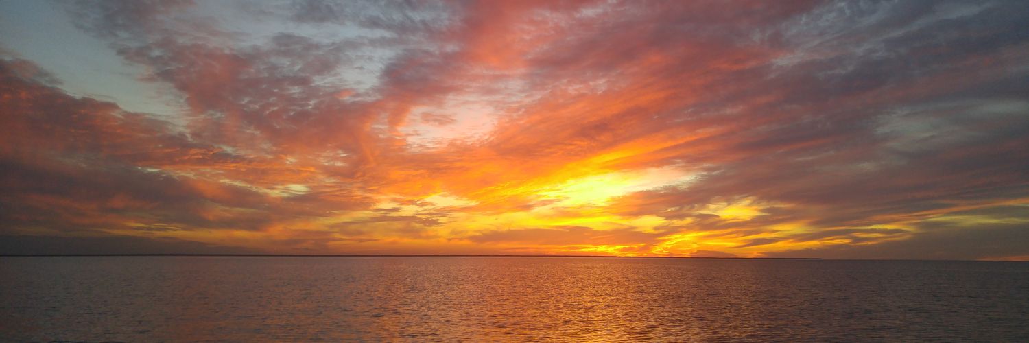 Mackenzie Carolyn banner