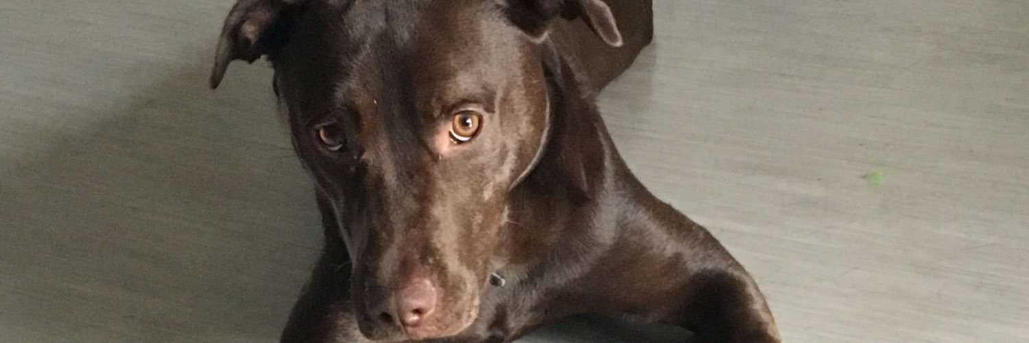 allison_ott's profile banner image
