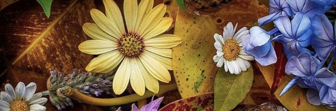 InspirARTE banner