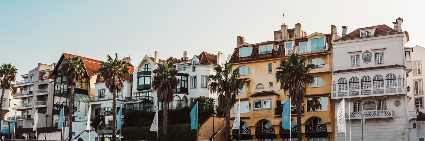 Delfina Novillo banner