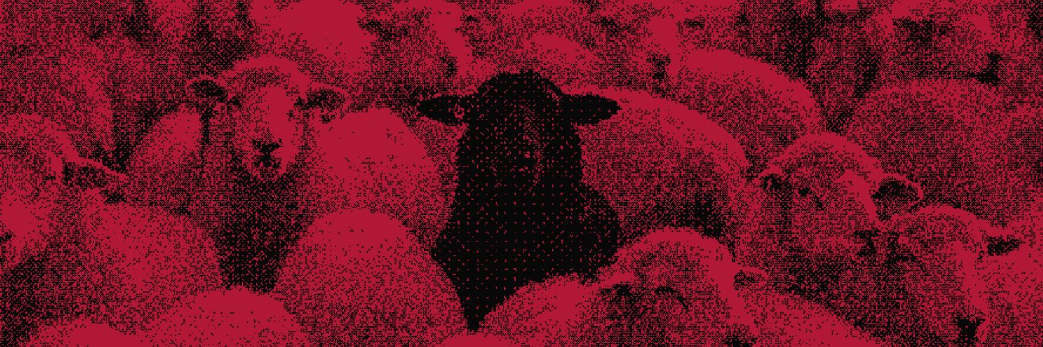 Shepherd_HQ's profile banner image