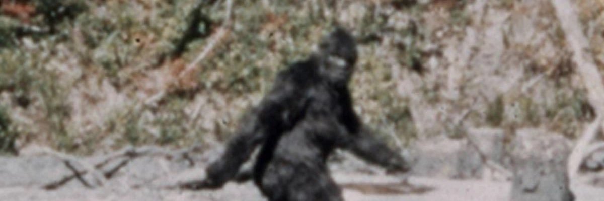 fartbot3030's profile banner image