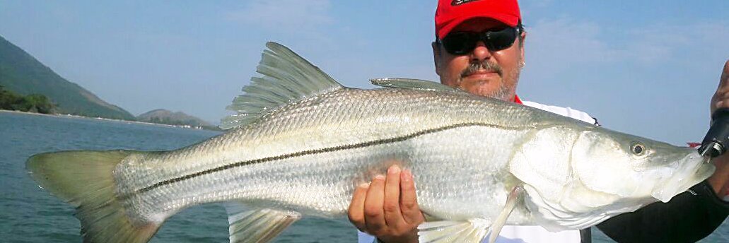 riopesca's profile banner image