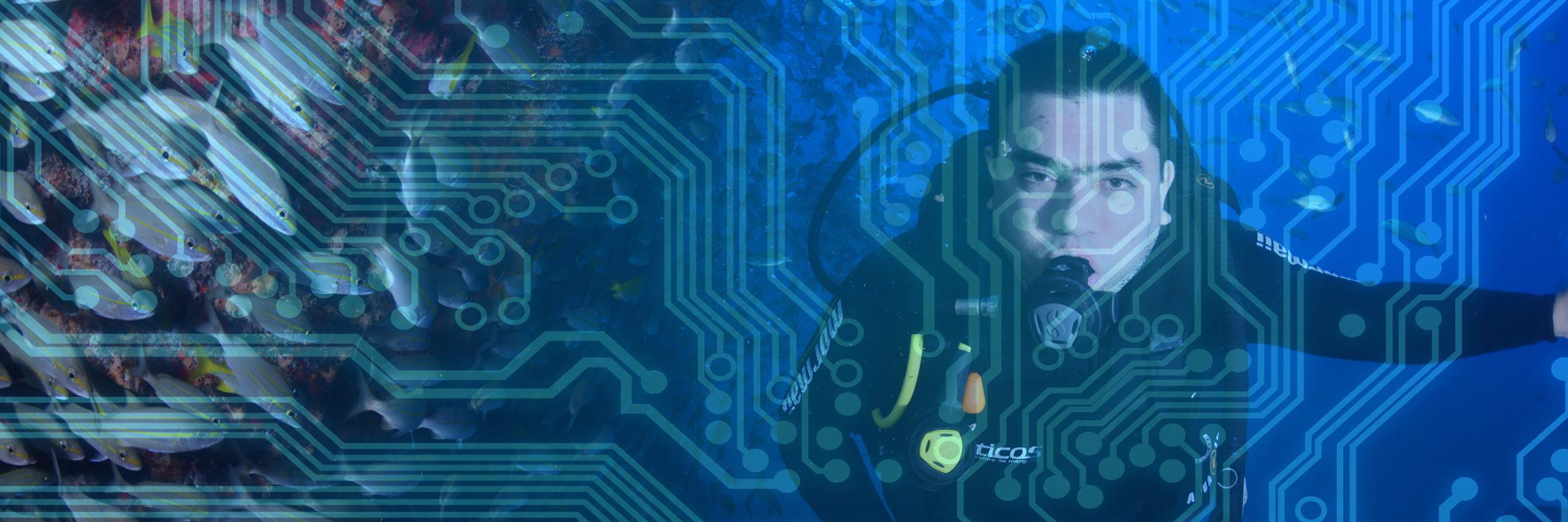 drbeco's profile banner image