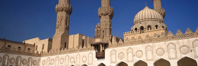 المدجنة banner