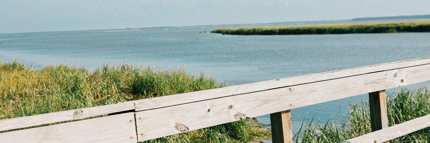 Southern Tide banner