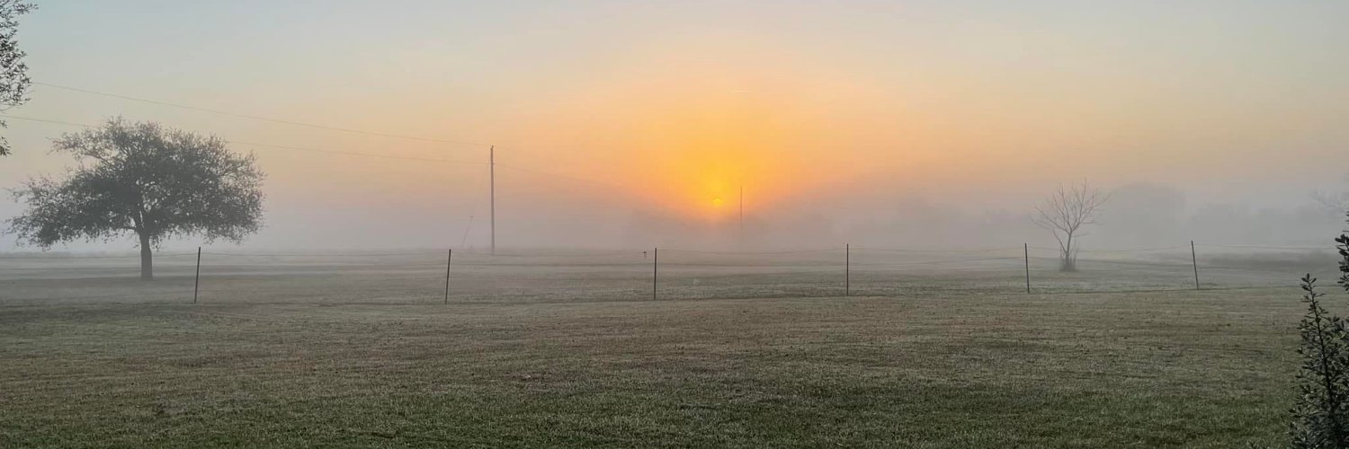 VirginiaInTexas's profile banner image