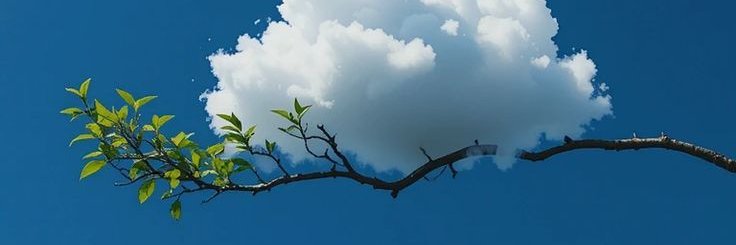 kayxsoft's profile banner image