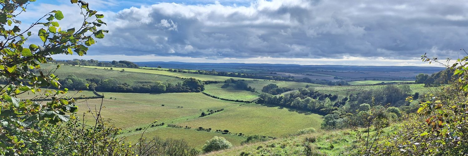 BenJMAtkinson's profile banner image