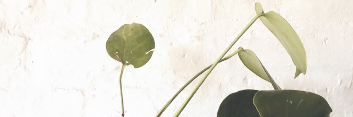 megandbarton's profile banner image