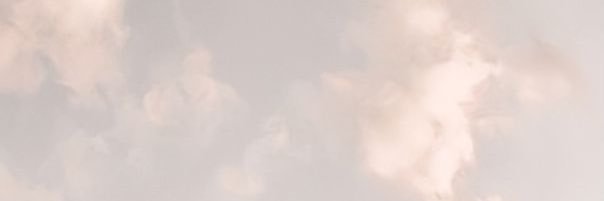 marielle ✩࿐'s banner