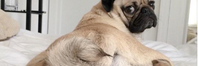 bbbeccaolson's profile banner image
