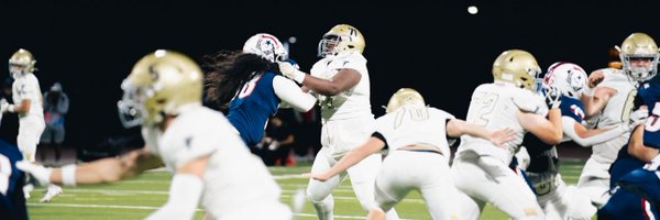 5starphoenix Profile Banner