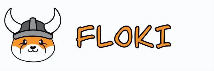 Floki Crypto banner