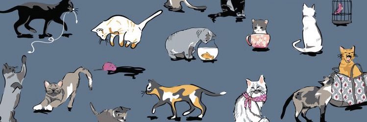 SarahRoshetko's profile banner image