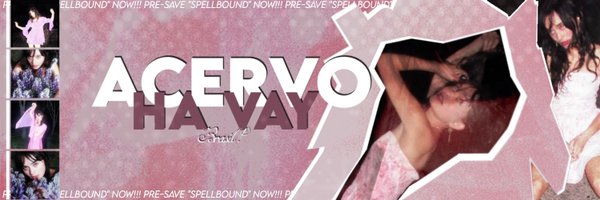 acervohavay Profile Banner
