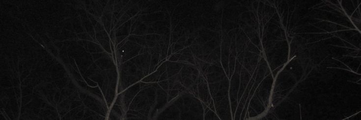 ٧فَـاء. banner