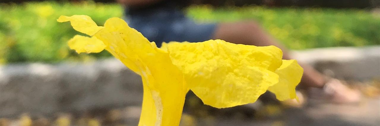 KaathGomez_'s profile banner image