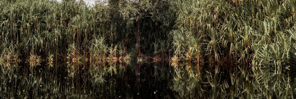 WRI Indonesia banner