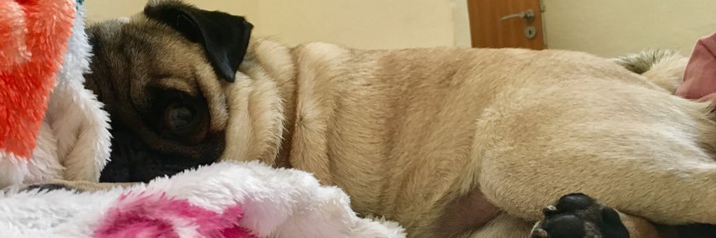 rayunoxx's profile banner image