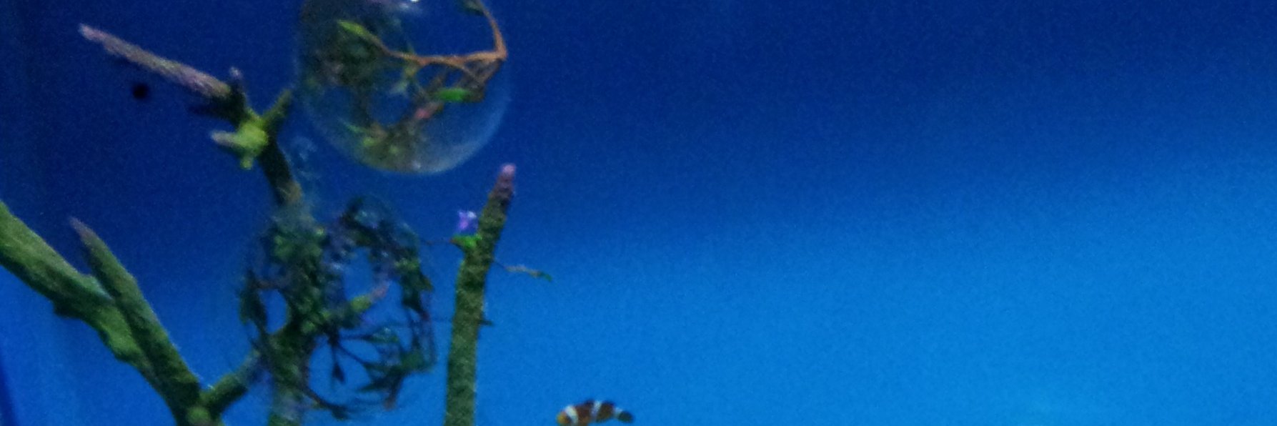 traintrea's profile banner image