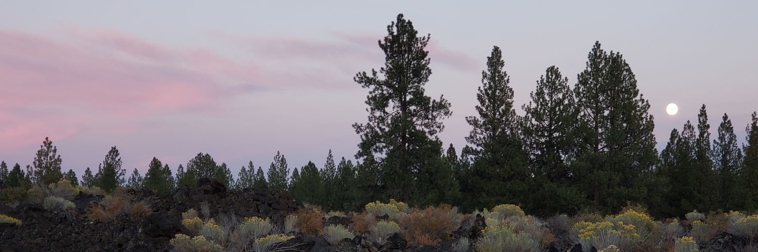 HollyKnits's profile banner image