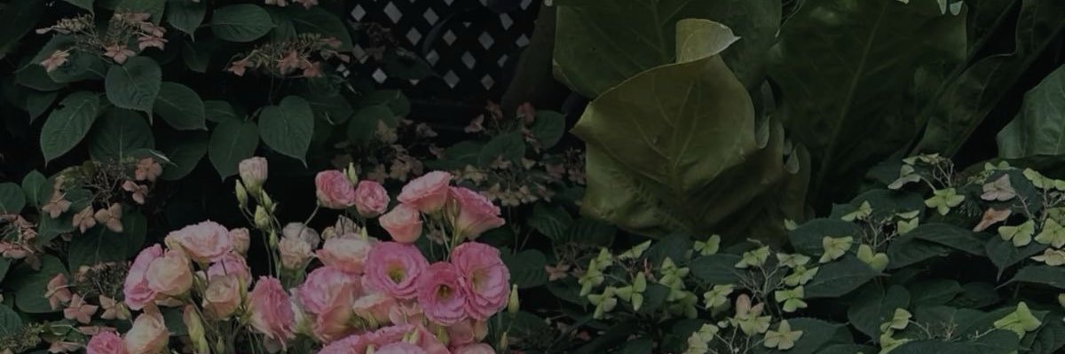 iris 🩷🌿 banner