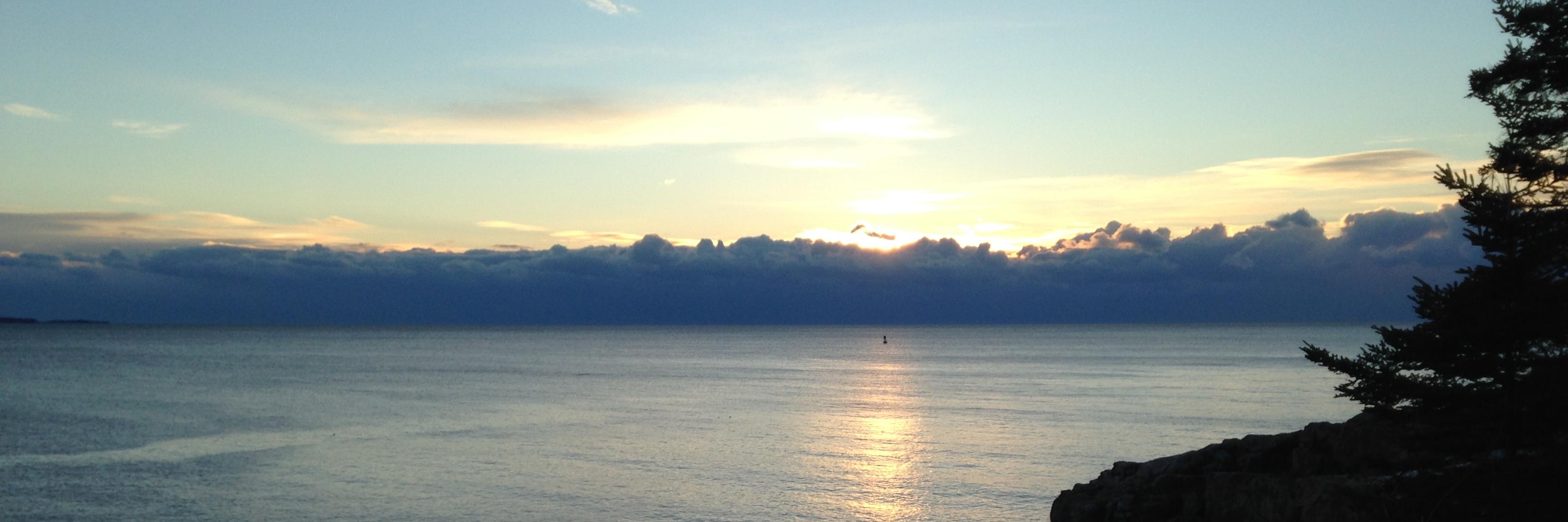 Kate Soules, PhD banner