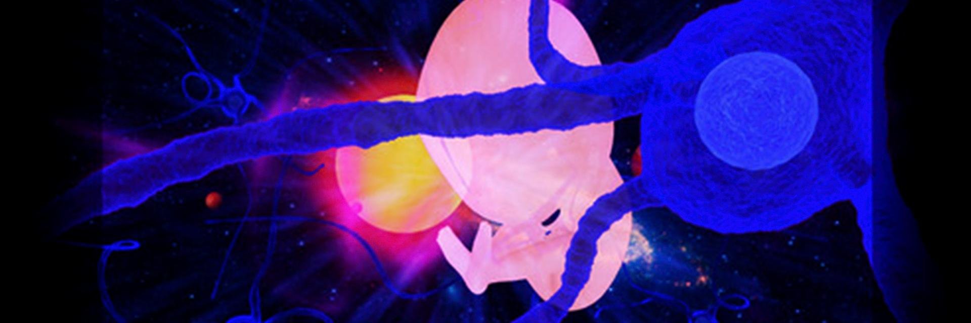 Exusloxus's profile banner image