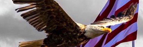 P Gall banner