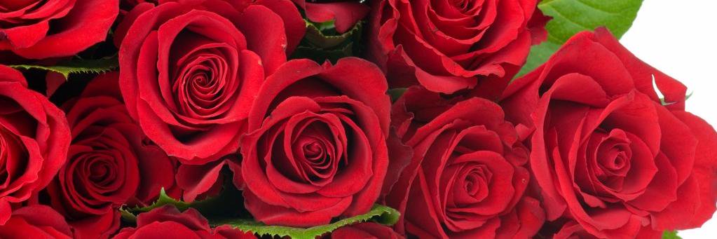 abdus1012's profile banner image